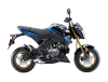 Kawasaki Z125 Pro SE