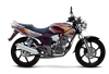 Honda Tiger 2000