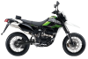 Kawasaki D-Tracker X