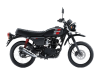 Kawasaki W175TR SE