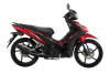 Honda Dash 125